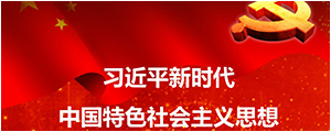 习近平新时代中国特色社会主义头脑学习